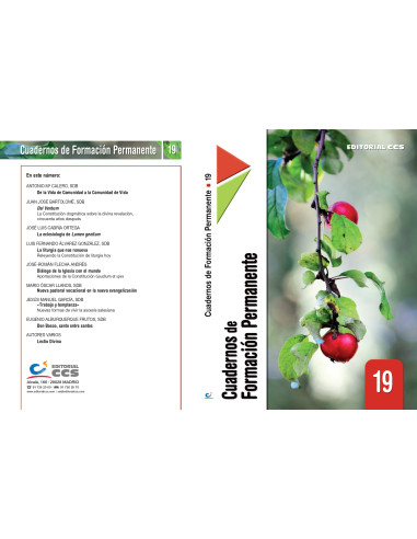Cuaderno de Formación Permanente 19