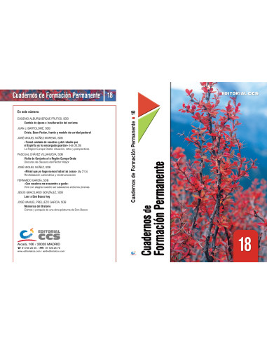 Cuaderno de Formación Permanente 18